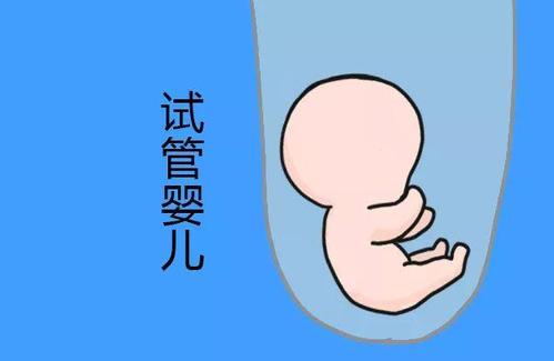 人工高龄供卵代怀微信群