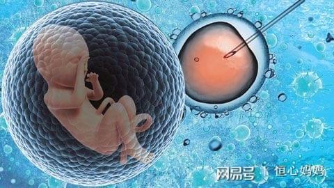 关于人工高龄供卵代怀微信群